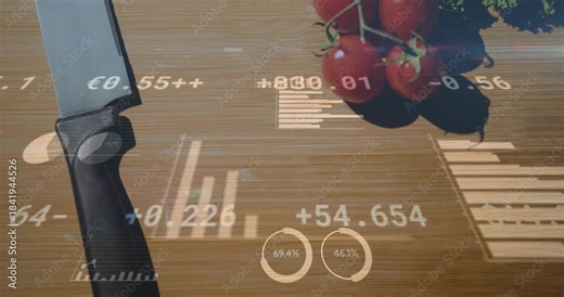 Chef's knife anchoring HUD appearing on board, widgets animating and numbers updating, showing data