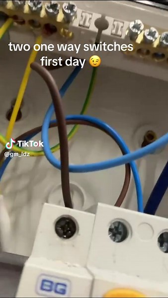 Electrician's First Day: Wiring One Way Switches