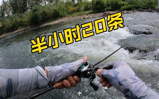 流水鳜鱼怎么钓？看完你就明白了。小伙一条接一条拉到手软！