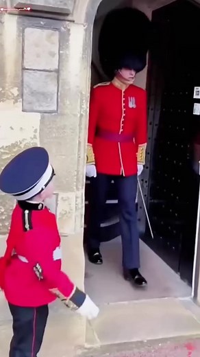 40K views · 1K reactions | Lovely guard❤️ #lifeguards #kingsguard | King's Life Guards | Facebook