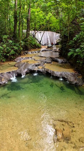 2.7K views · 4.6K reactions | ❤️ Trinidad : Turure falls  #trini #trinidadandtobago #caribbean #travelmore | Nature Nerds TT | Facebook