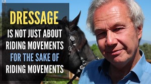 748 reactions · 149 shares | Dressage is not just about riding...