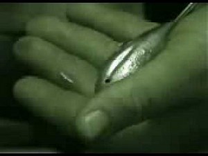Grapnell Sinkers