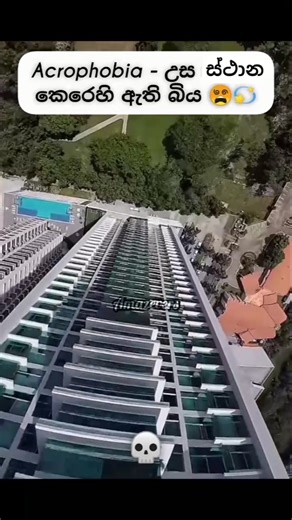 ඔයාටත් phobia එකක් තියනවද ? 😰💀 #sinhala #horror #documentary #horrorstories #education #creepy