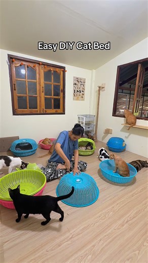 1.6M views · 18K reactions | Easy DIY Cat Bed | เจนนี่ ที่ชอบเลี้ยงแมว | Facebook