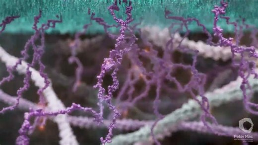 CAR-T Cells: Engineered Cancer Killers, Mechanism of Action | Armel F. Setubi