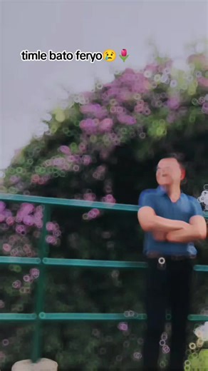 Timle Bato Feryo: A Heartfelt Expression