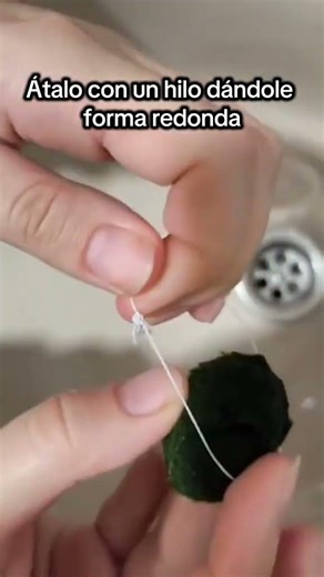 Como curar un marimo que se ha roto #marimo #naturaleza #regalosunicos #sanvalentin #marimomossball