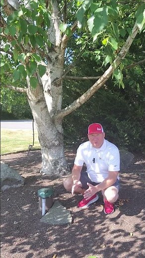 How-To Locate a Well Log for a Property in Washington State? #youtubeshorts