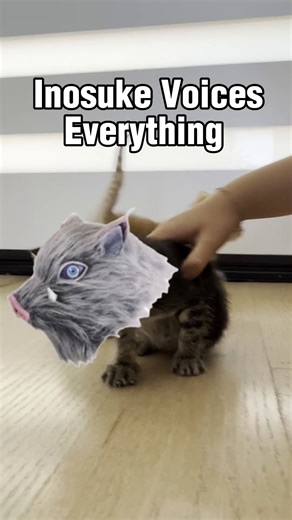 65K views · 2.8K reactions | Inosuke Voices Everything… a kitten  | Bryce Papenbrook | Facebook