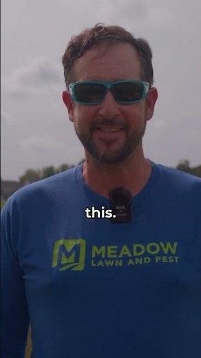 How to Fix Compacted Soil?