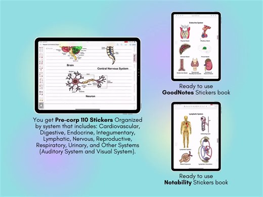 Anatomy Organ Stickers: 110 Study Stickers for Goodnotes, Notability (digital Download) - Etsy