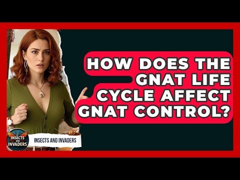 How Does The Gnat Life Cycle Affect Gnat Control? - Insects and Invaders