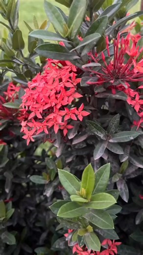 part 13 | Prince Akash