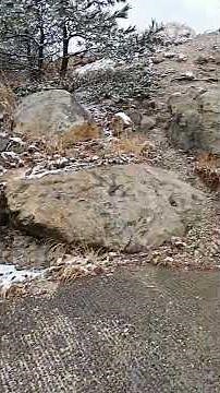 【温泉】火山 塚原温泉01 伽藍岳 湯布院 別府 源泉かけ流し 火口乃泉 Onsen Volcano Oita Japan 蒸し卵 ソフトクリーム 湯けむり もくもく 大分 雪 2026 Winter
