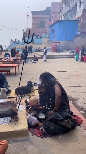 what a life | The Solo Traveler