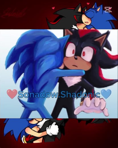 Exploring Sonadow: Sonic x Shadow Relationships