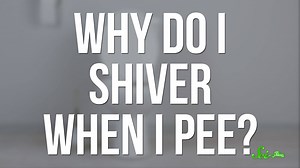 21K views · 123 reactions | A lot of people experience shivering after they pee! Why does this happen? | SciShow | Facebook