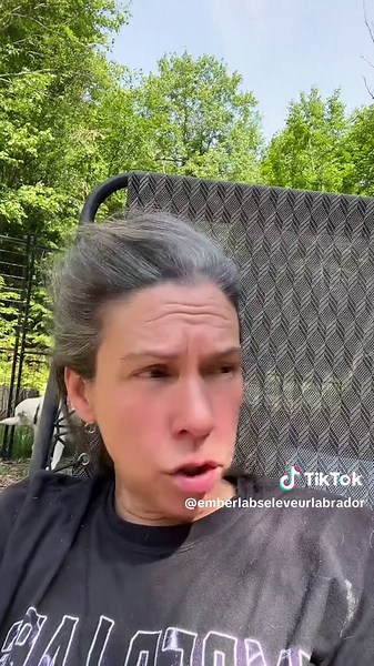 Un éleveur n’est pas un éducateur. Par contre, il devrait être au courant d’une certaine base concernant l’éducation canine si cses chiots sont exposés à diverses sessions concernant son apprentissage, l’éleveur doit savoir ce qu’il fait pour ses chiots et ses chiens, et ensuite pour être capable de vous guider en vous conseillant de la bonne manière. ##eleveurcanin ##eleveurdelabrador ##chiot ##puppies ##bonchien