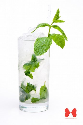 Mojito - Social and Cocktail