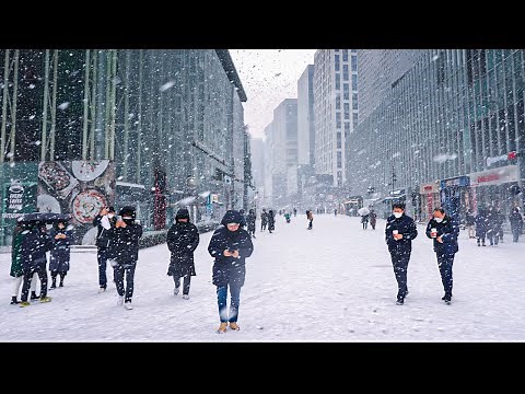When It Snows Heavily in Seoul?! ⛄️🥶 | Traffic Chaos | Snowfall | Walking Tour Korea 4K HDR