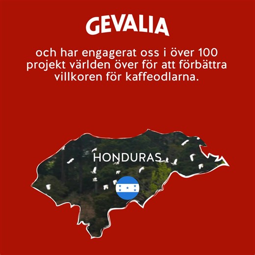 Gott kaffe för en god sak I Honduras har vi utbildat över 14 000 kaffeodlare i hållbara produktionsmetoder, ett av 100 projekt vi är involverade i globalt ☕☕. | Gevalia