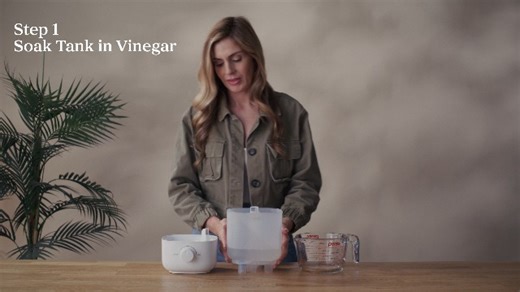 Watch How to clean your Classic 160 Top-fill Humidifier ﹙2025 latest version﹚ on Amazon Live