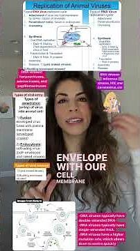 DNA and RNA virus replication cycle in 1 minute #biology #STEM #microbiology #biologyteacher