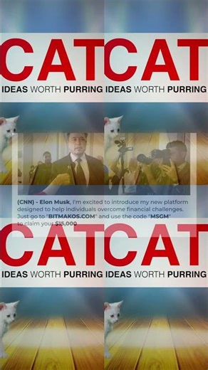 TED TALKS Kittens on Net Neutrality Cute Kitten Version 34s