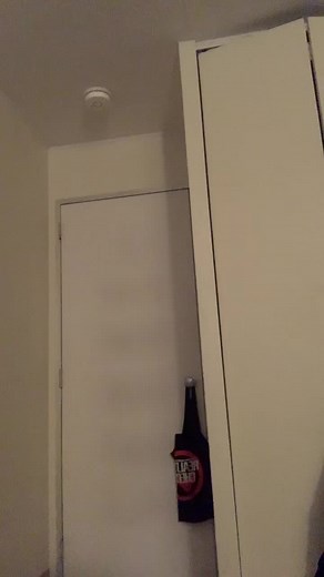 blood_hawk.exe (@blood_hawk.exe)’s videos with original sound - Talon-Tal