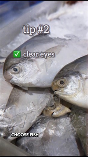 How to Clean Silver Pomfret Like a Chef (Step-by-Step) #facts #liveclean #selfclean