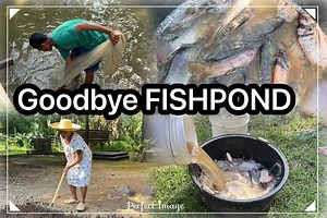 414K views · 5.5K reactions | Pool drainage… goodbye fishpond. | Brenda Mage | Facebook