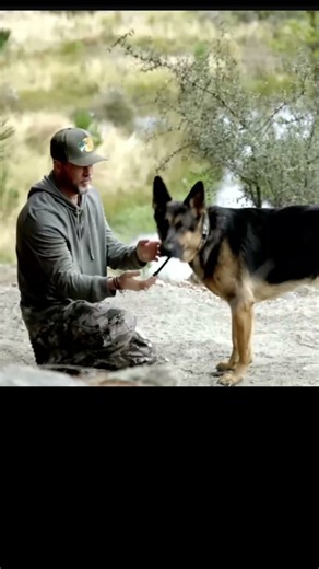 Brad Pitt & Odin Behind the Scenes | HEART OF THE BEAST (2026)