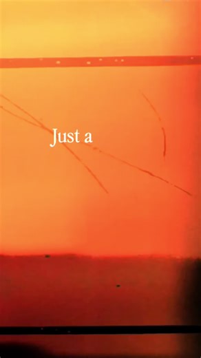 🌿 Some of you may not know… 🌿 We’re not just experts at hair! 💇‍♀️✨ At Indigo Salon & Day Spa, we also offer: SPA SERVICES ✨ ✔️ Advanced Skincare Treatments for glowing, healthy skin ✨ ✔️ Relaxing Massage Therapy to melt the stress away 💆‍♀️ ✔️ Lash Lifts & Tints for effortless, natural-looking lashes 👁️ ✔️ Hair removal services to get rid of that unwanted hair 🚫✨ ✔️ And even more ways to treat yourself 💖 If you’ve only visited us for hair… consider this your sign to explore all the other