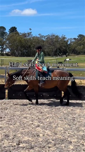 2.1K views · 18 reactions | Soft vs Hard skills: why your horse cares...