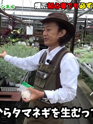 買う前に見てこの秋畑で育てておいた方がいい野菜BEST5園芸超人カーメン君家庭菜園おすすめ - 12