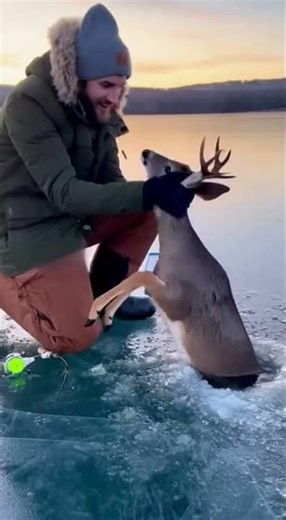 The Daily Catch: Doe you believe what I just saw?