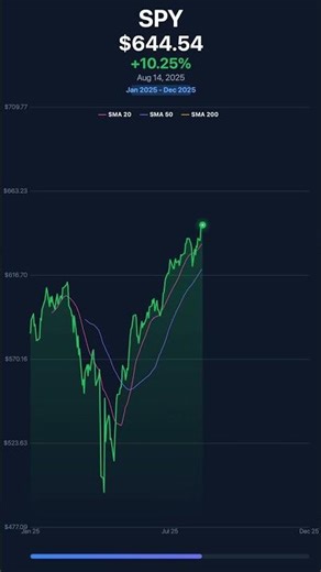 SPY 2025 Performance #stocks #spy #visualizer #stockprice
