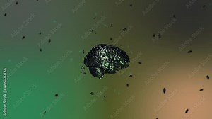Human brain Model 3D glossy brain rendering