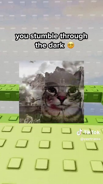 YeetRants på TikTok