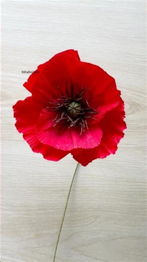 DIY Paper Poppy Flower making tutorial