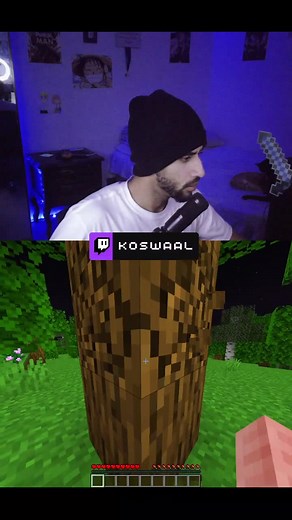 Minecraft Animated Wallpaper for Gamers