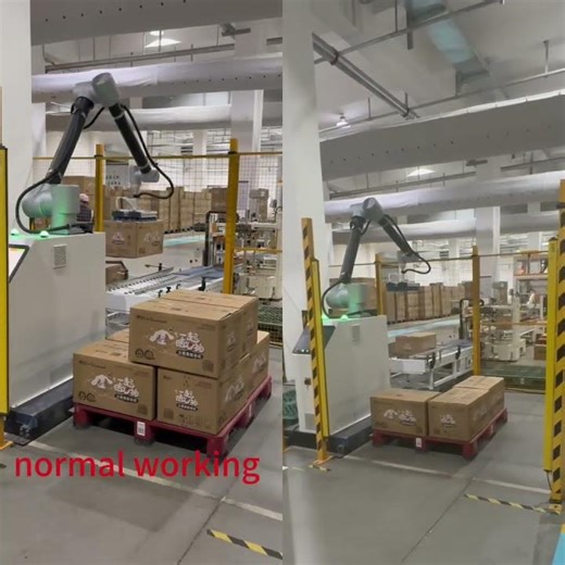 palletizing robot with safety fence#palletizing #robot