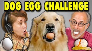 100K views · 343 reactions | Dog egg challenge! | REACT | Facebook