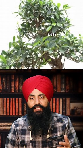 271K views · 5.4K reactions | How Much Water Does a Tree Drink in a Year? "#TreeWaterConsumption #TreePhysiology #WaterCycle #Ecosystem #Nature #Environment #Sustainability #Forestry #Botany | Jot Tv Media | Facebook