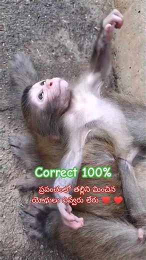 అమ్మ అమ్మ నే పసివానమ్మ mom i am a baby #mother #love#motherslove#shorts #viral