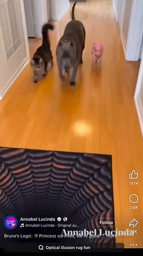 Big homie sacrificed the lil 🥷🏾😆🤣 #funnyvideos #tonymactv #viral #reels #viralvideos | Tony Mac