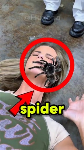 If a Spider Bites You, Do THIS Immediately 🕷️⚠️