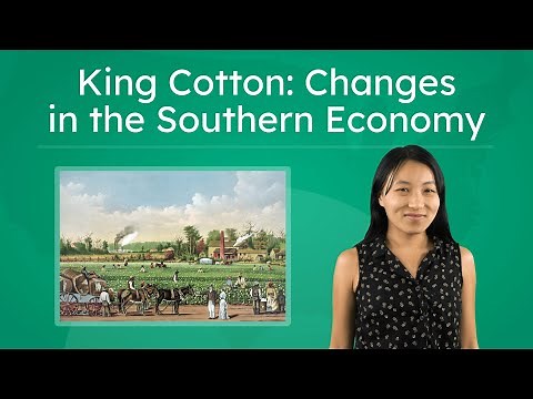 King Cotton - Impacts of Cotton Production in 1800s U.S.A.