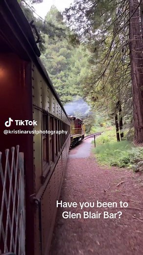 Taking the Skunk Train to Glen Blair Bar in Fort Bragg was a magical experience. Have you been? ##fortbragg #skunktrain #mendocinocoast
